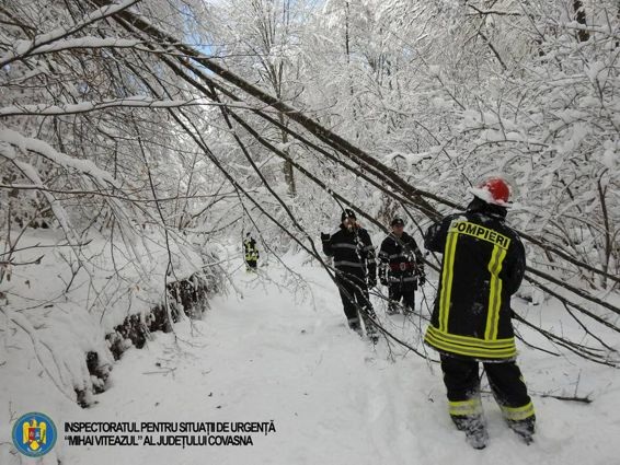 Interventie pentru degajarea arborilor cazuti pe reteaua electrica | imaginea 1