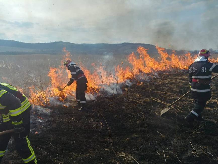 Interventie pentru stingerea unui incendiu de vegetatie uscata | imaginea 1