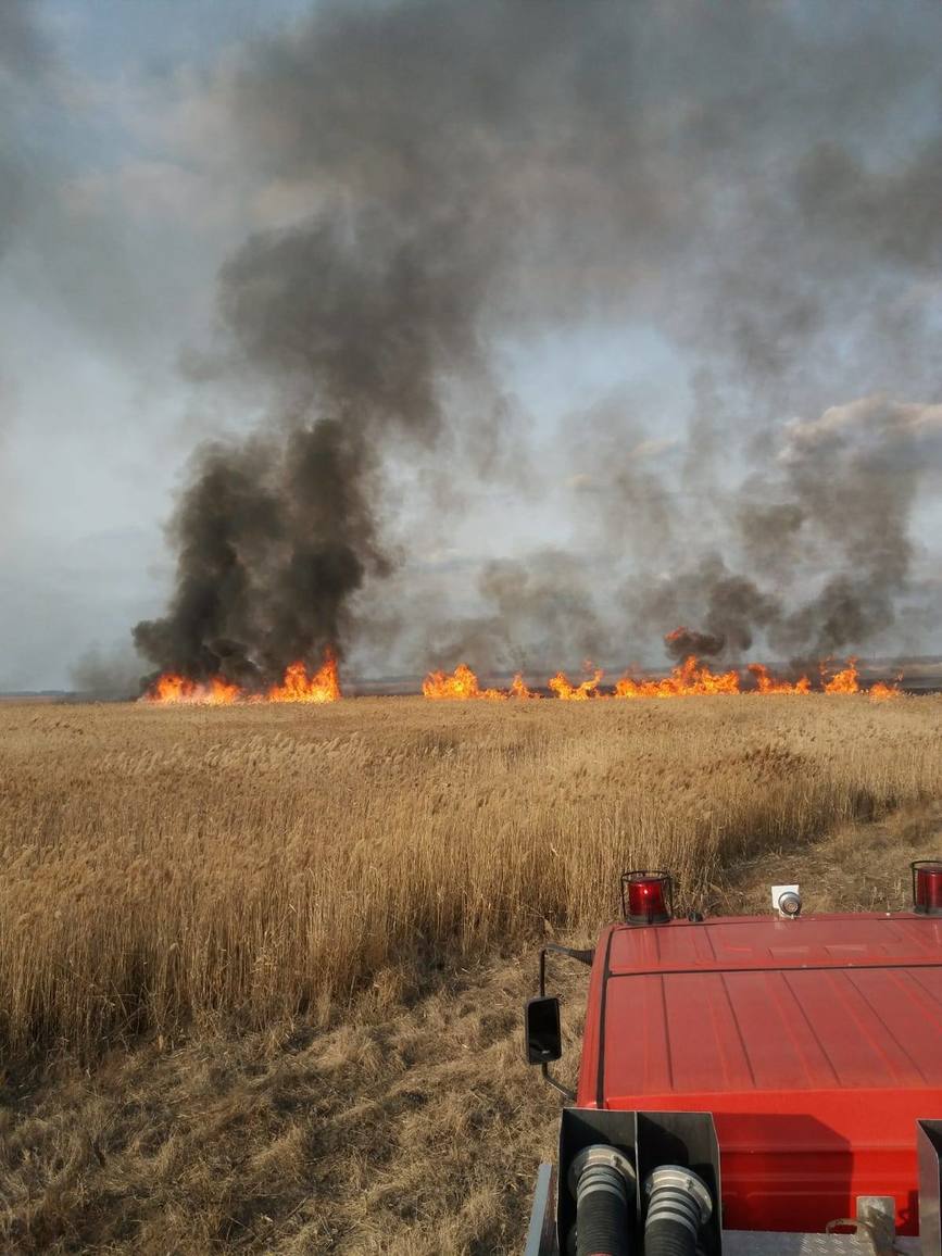 Suprafata de vegetatie stuficola  afectata de incendiu | imaginea 1