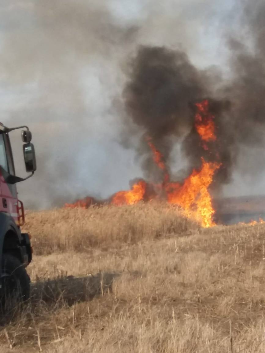 Suprafata de vegetatie stuficola  afectata de incendiu | imaginea 2