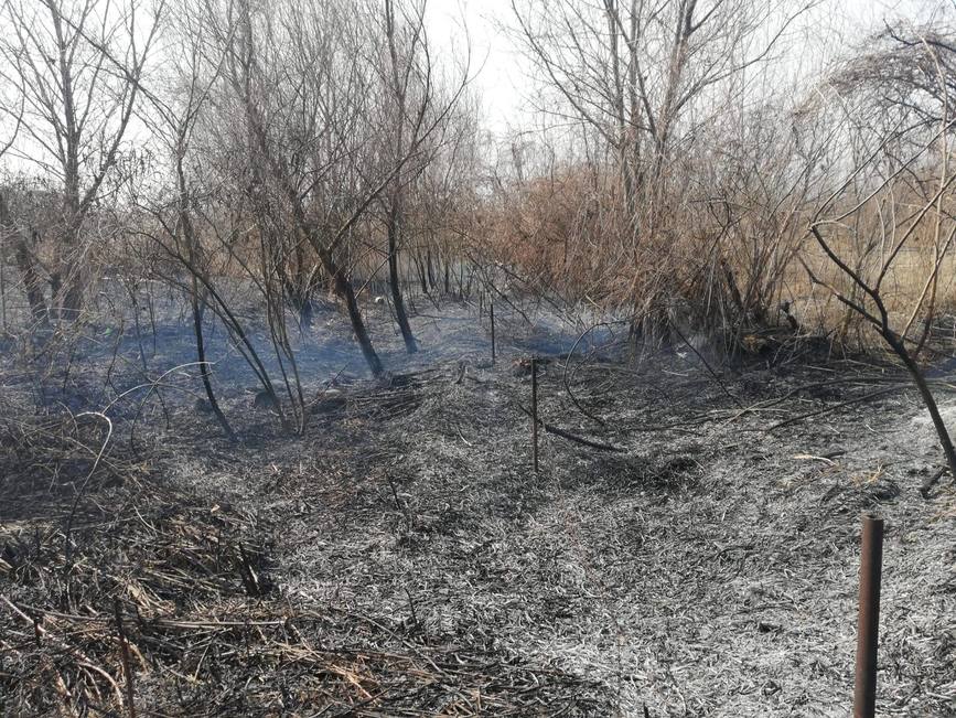 3 anexe gospodaresti si o casa  arse intr un incendiu fara victime omenesti | imaginea 1