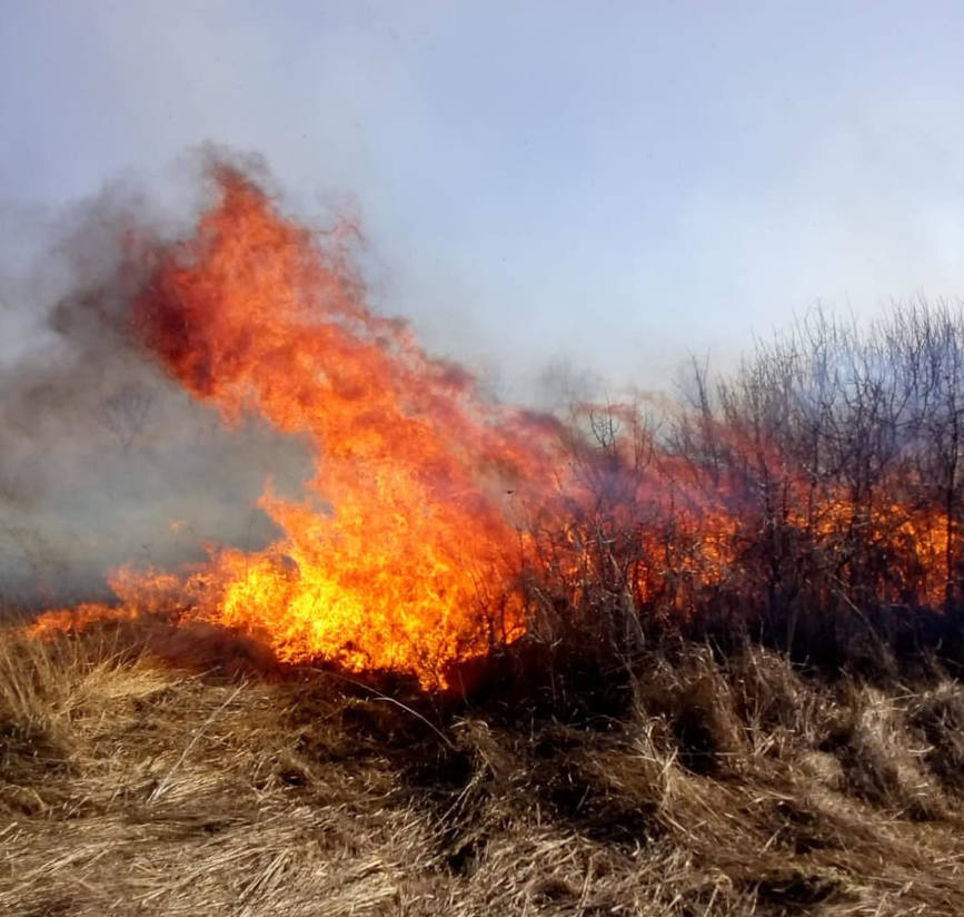 Ziua Protectiei Civile sarbatorita de pompierii salajeni prin interventia la 11 incendii de vegetatie uscata | imaginea 1