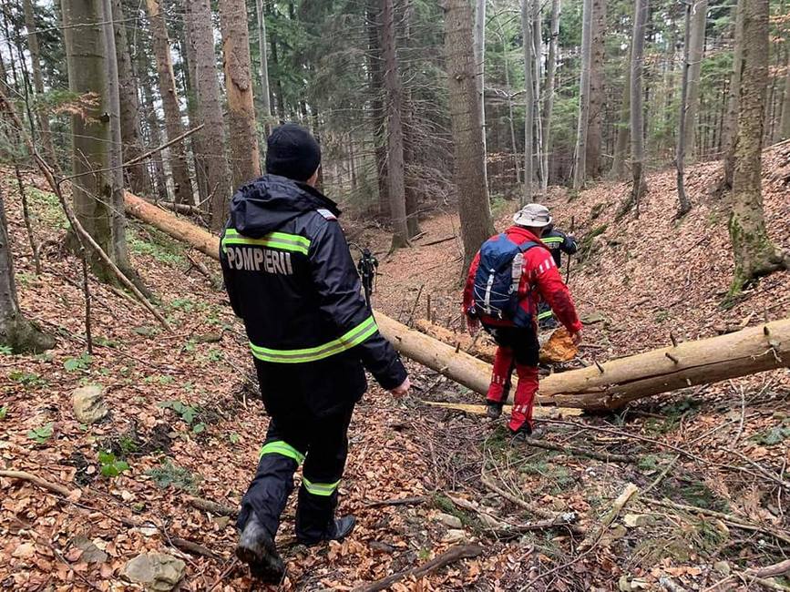 Doua persoane ratacite in padure  gasite dupa aproape 2 zile | imaginea 1