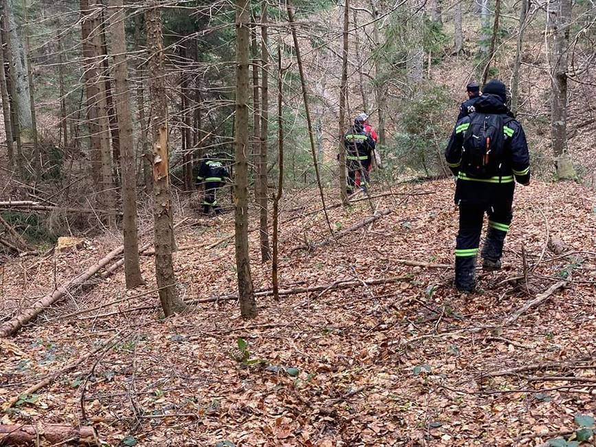 Doua persoane ratacite in padure  gasite dupa aproape 2 zile | imaginea 2