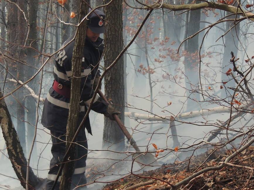 Inca un pompier ranit in incendiul de la Eselnita  Ce ascund IGSU si Raed Arafat | imaginea 1