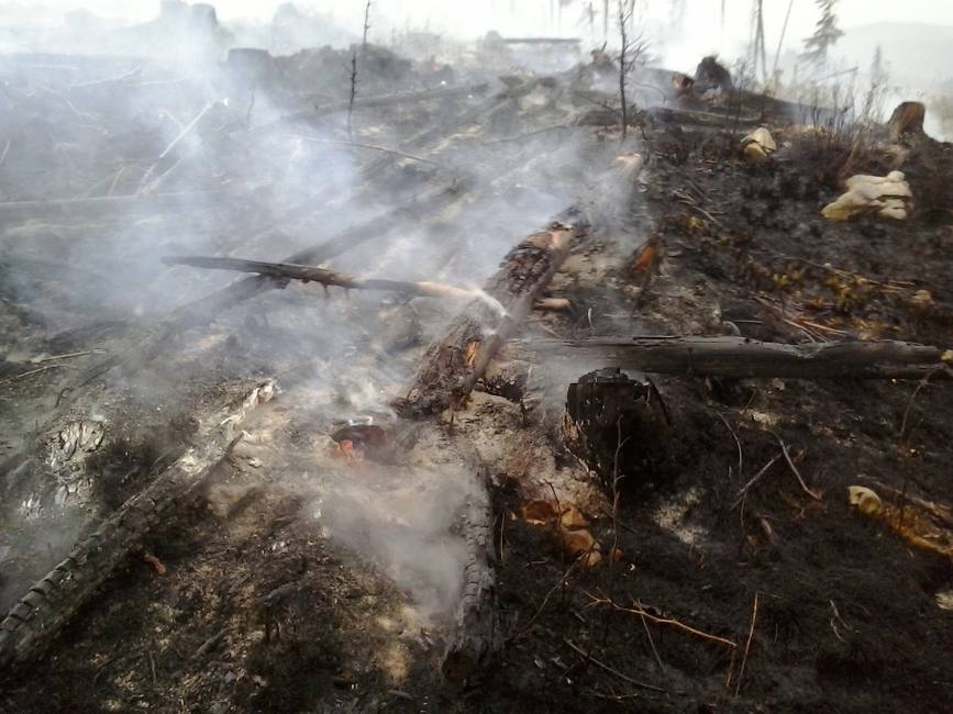 Un pompier militar cu arsuri grave in urma unui incendiu de vegetatie uscata | imaginea 1