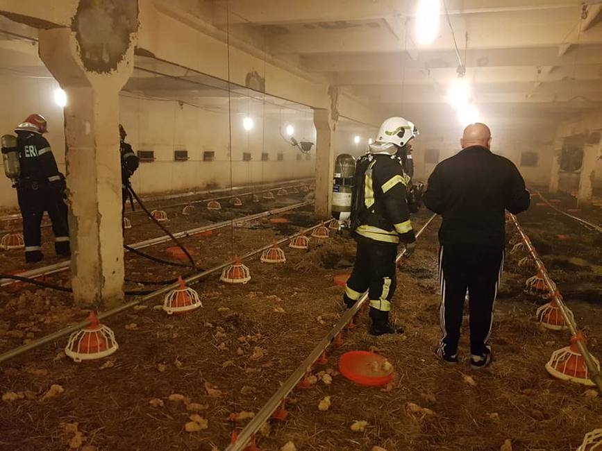 Incendiu la o hala din cadrul unei ferme avicole | imaginea 1
