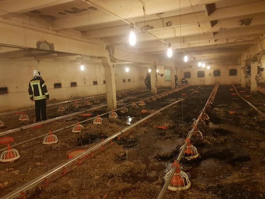 Incendiu la o hala din cadrul unei ferme avicole | imaginea 2