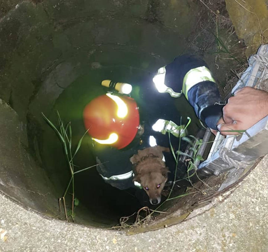 Pompierii mehedinteni alaturi de comunitatile afectate de inundatii | imaginea 1