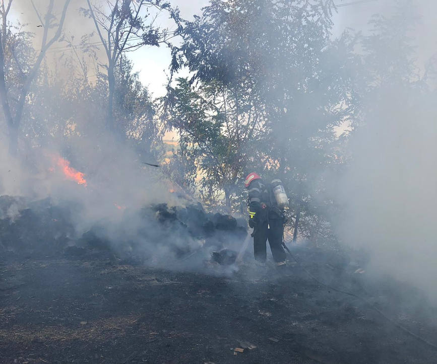 Incendiile de vegetatie uscata si miristi   o amploare deosebita in luna august | imaginea 1