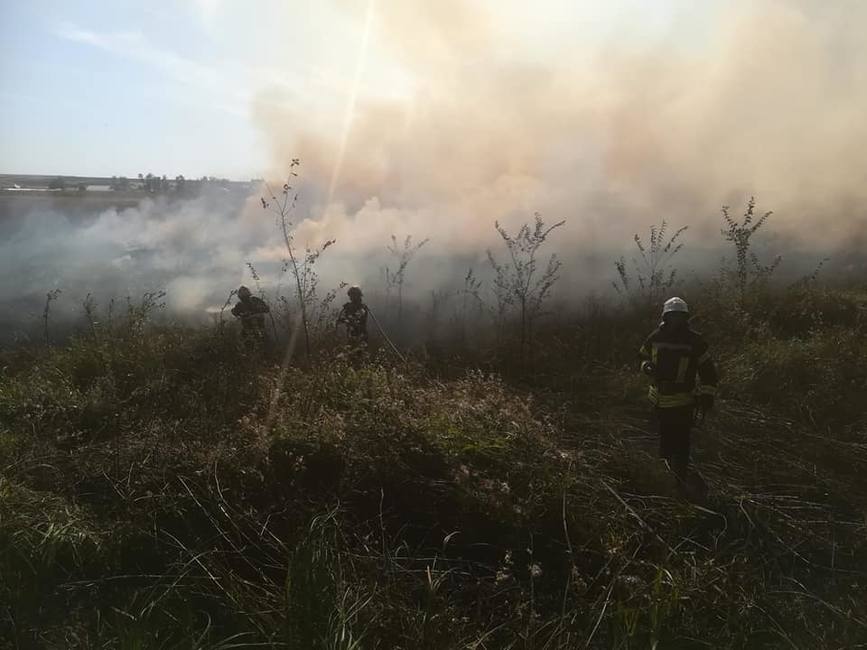 Interventie dificila la stingerea unui incendiu de vegetatie uscata si miriste | imaginea 1