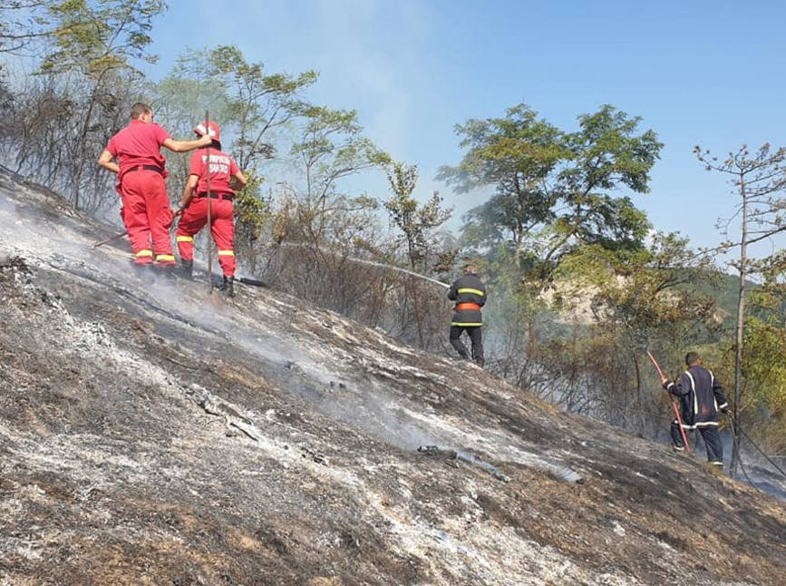 Interventie dificila la un incendiu de padurice | imaginea 1