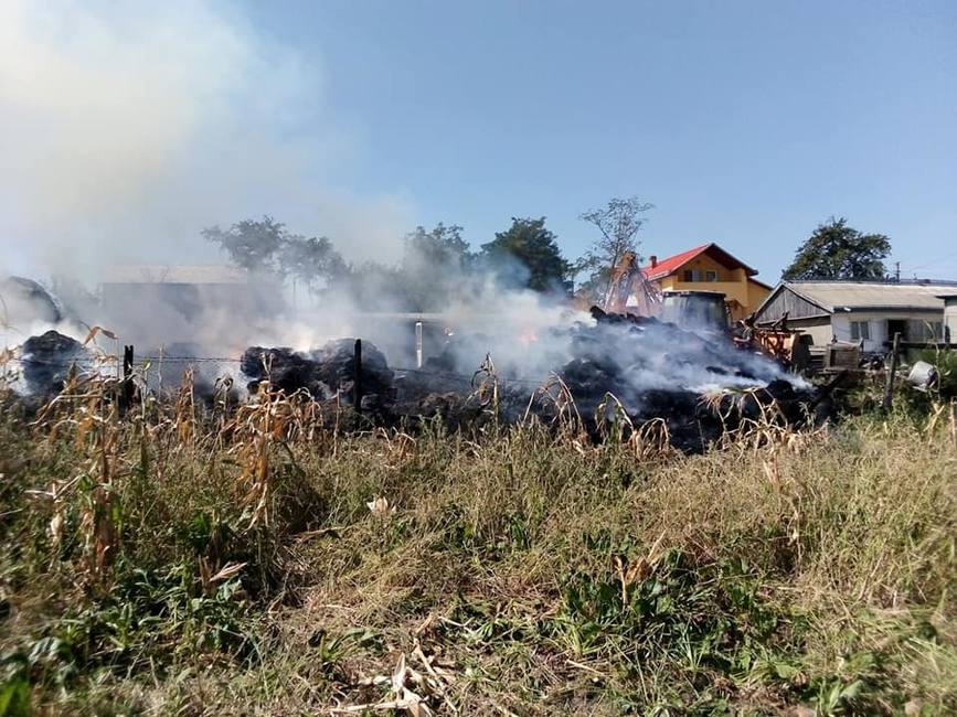 Interventii pentru stingerea a nu mai putin de sapte incendii | imaginea 1