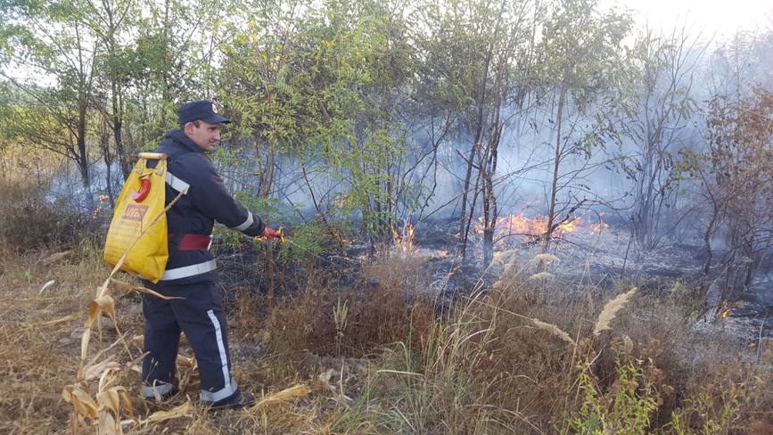 Peste 60 de interventii ale ISU Mehedinti la sfarsit de saptamana | imaginea 1