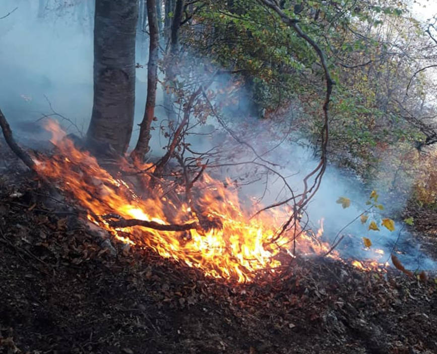 Cele doua incendii la fondul forestier din judetul Hunedoara sunt inca active | imaginea 1