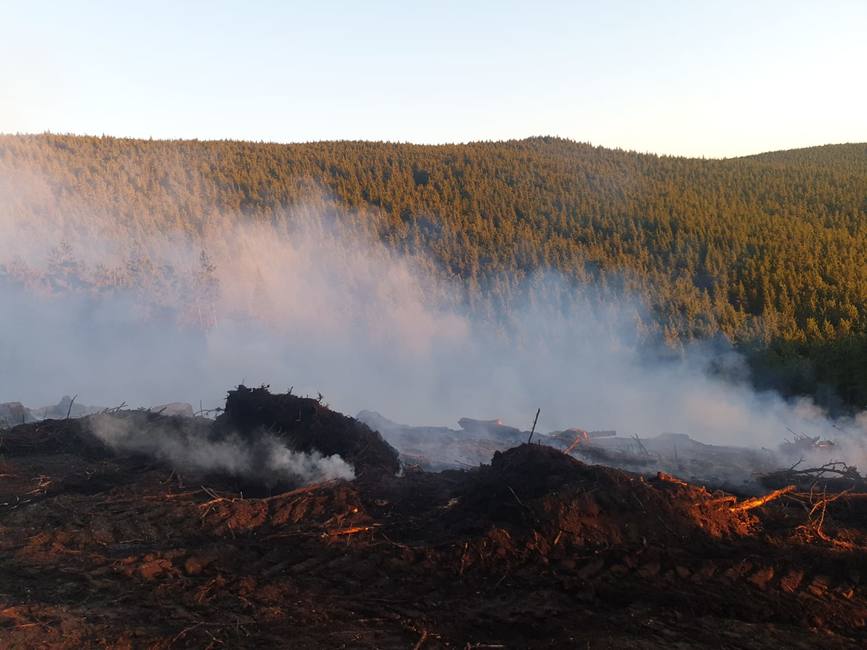 Incendiu de padure in zona Apa Rosie  Covasna | imaginea 1