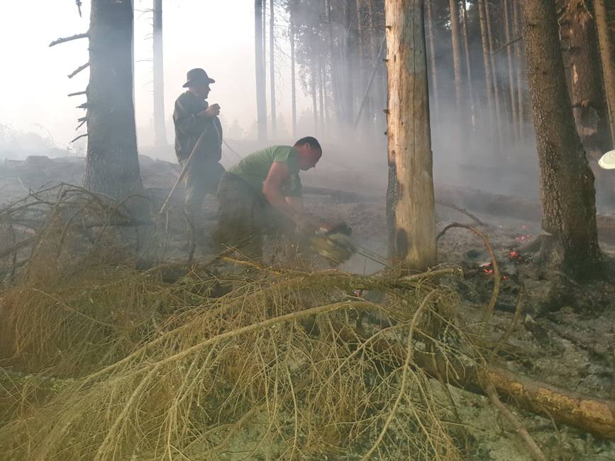 Incendiu de padure in zona Apa Rosie  Covasna | imaginea 2