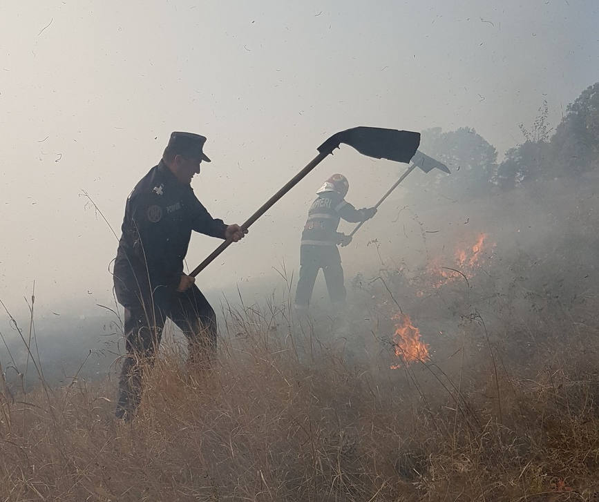 Incendiu de vegetatie uscata in comuna Argetoaia  Dolj | imaginea 1