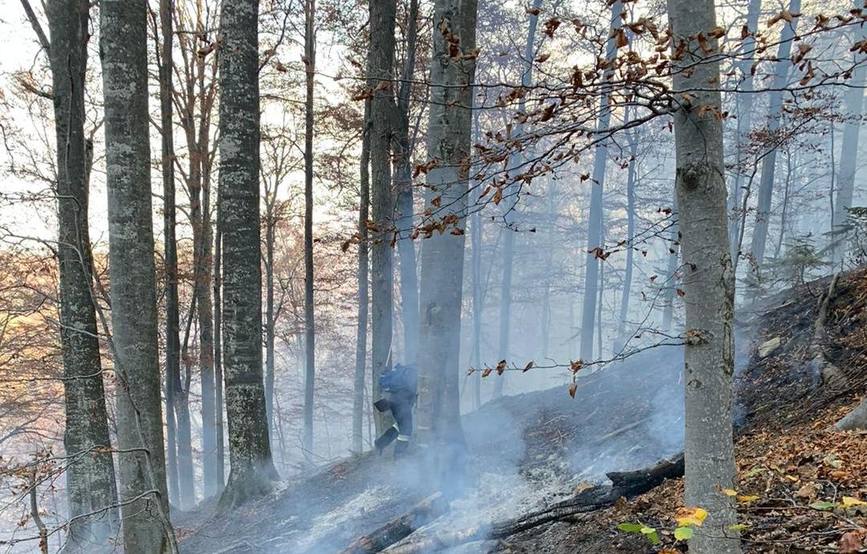 Incendii la fondul forestier din zonele Cornereva si Rusca Teregova | imaginea 2