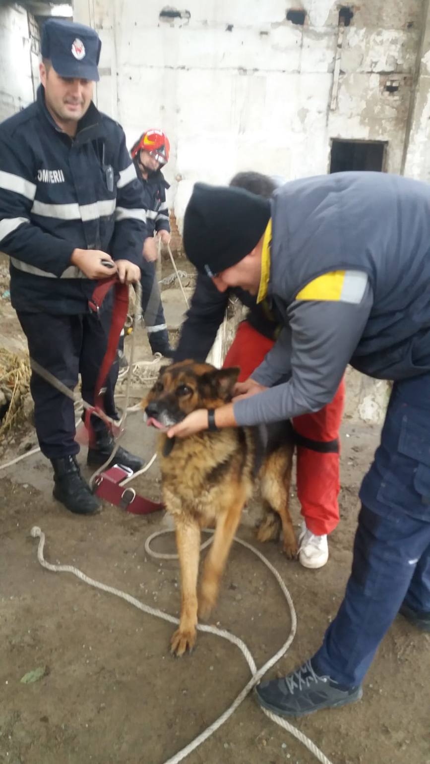 Noapte plina pentru pompierii focsaneni | imaginea 2