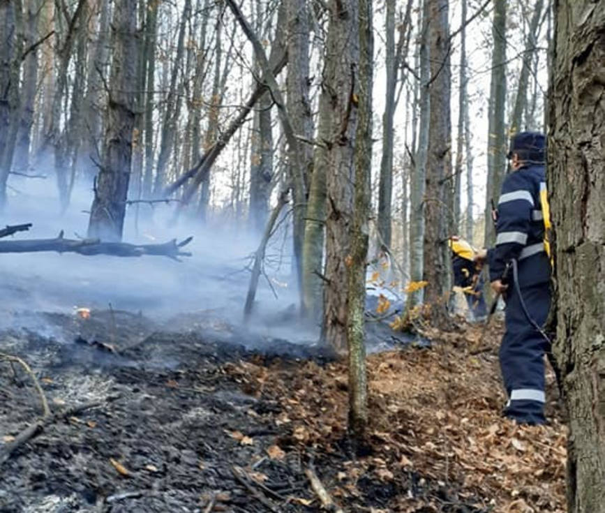 Pompierii militari sibieni intervin pentru a treia oara in zona forestiera Magura | imaginea 1