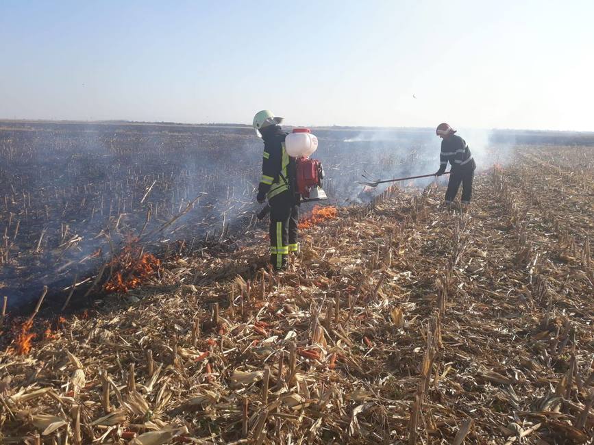 STOP  Renuntati la curatarea terenurilor prin incendiere | imaginea 1