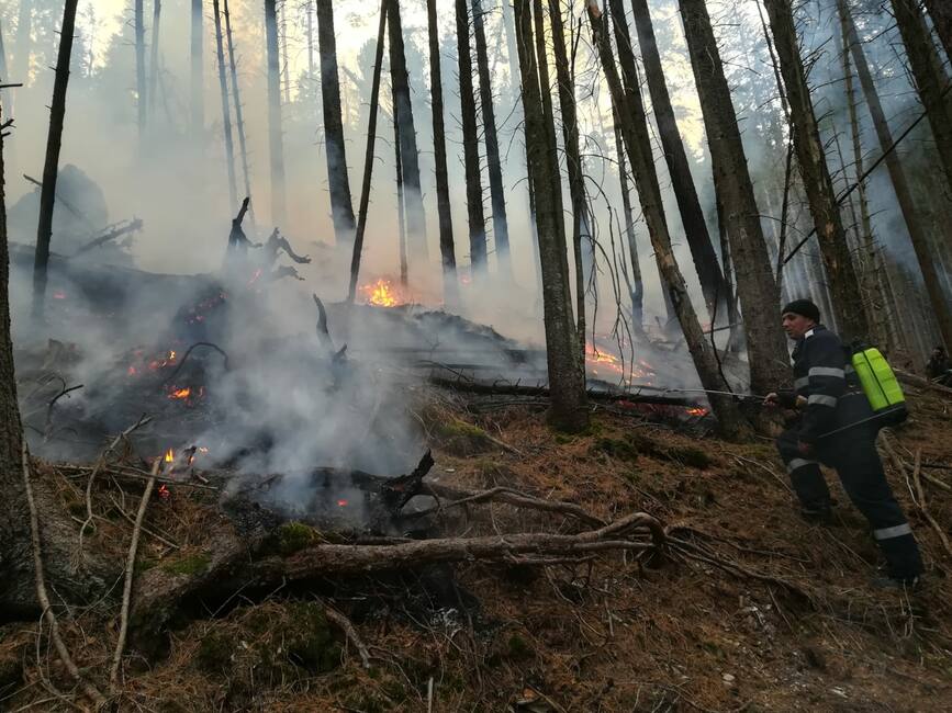 Incendiu pe raza Ocolului Silvic Pojorata  Suceava | imaginea 1