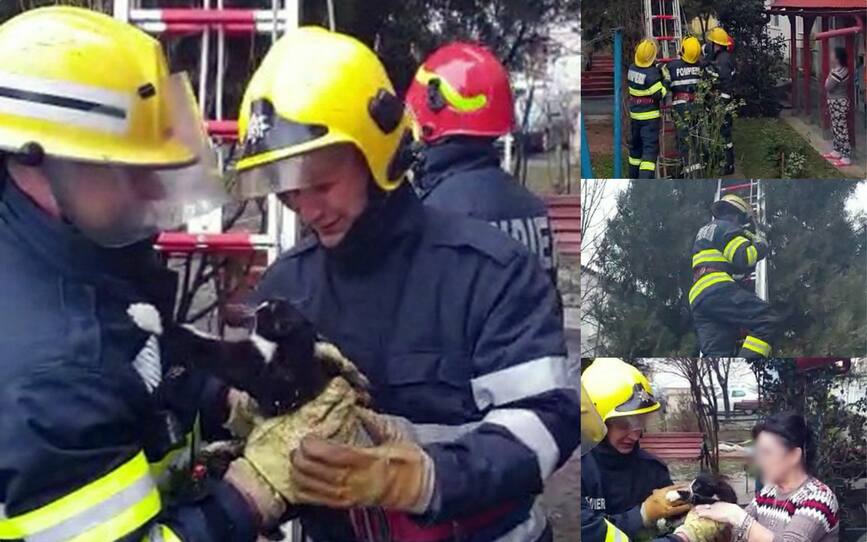 Pisicuta salvata de pompierii de la Detasamentul Moreni | imaginea 1