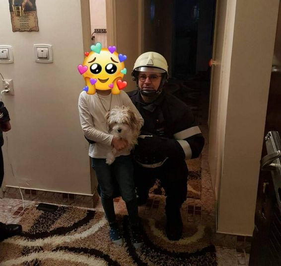 Misiune finalizata cu succes intr un apartament din Slatina | imaginea 1