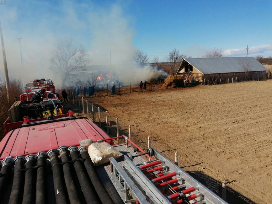 12 ovine si 3 caini  decedati intr un incendiu la o gospodarie | imaginea 1