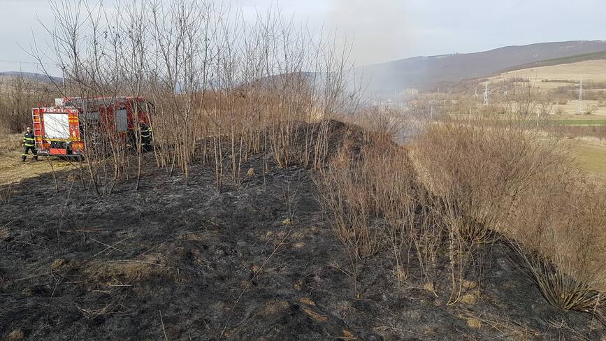 20 de incendii de vegetatie  de la inceputul anului | imaginea 2