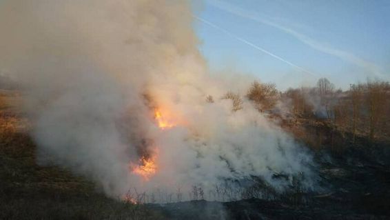 Epidemie de incendii de vegetatie uscata in judetul Hunedoara | imaginea 1
