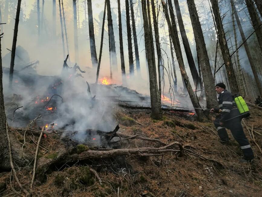 Incendiile de vegetatie uscata se inmultesc alarmant | imaginea 1