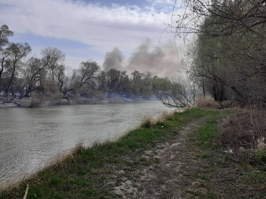 Incendiu de proportii la granita dintre Romania si Republica Moldova | imaginea 1