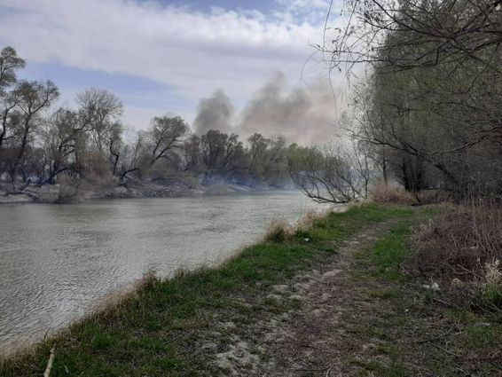 Incendiu de proportii la granita dintre Romania si Republica Moldova | imaginea 1