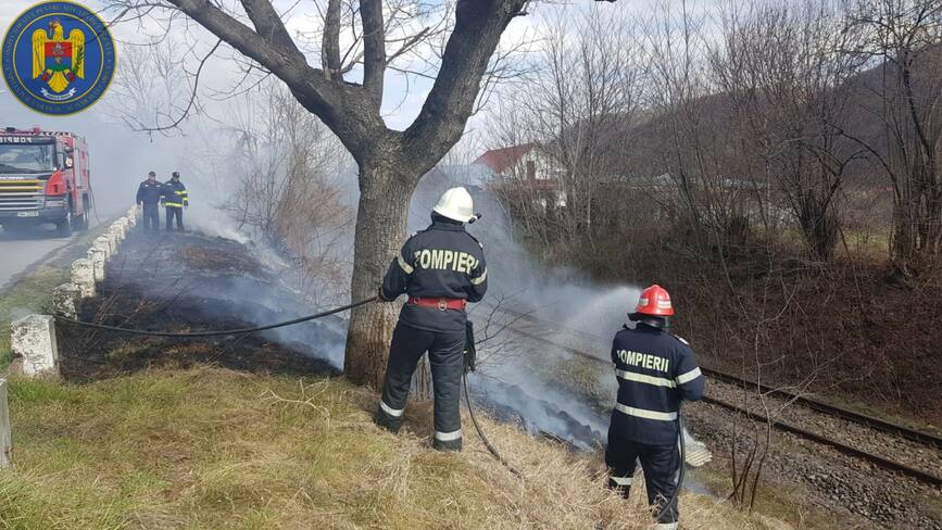 Interventii in urma celor care genereaza incendii de vegetatie | imaginea 1