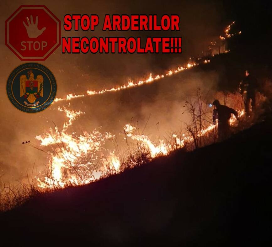 Interventii in urma celor care genereaza incendii de vegetatie | imaginea 2