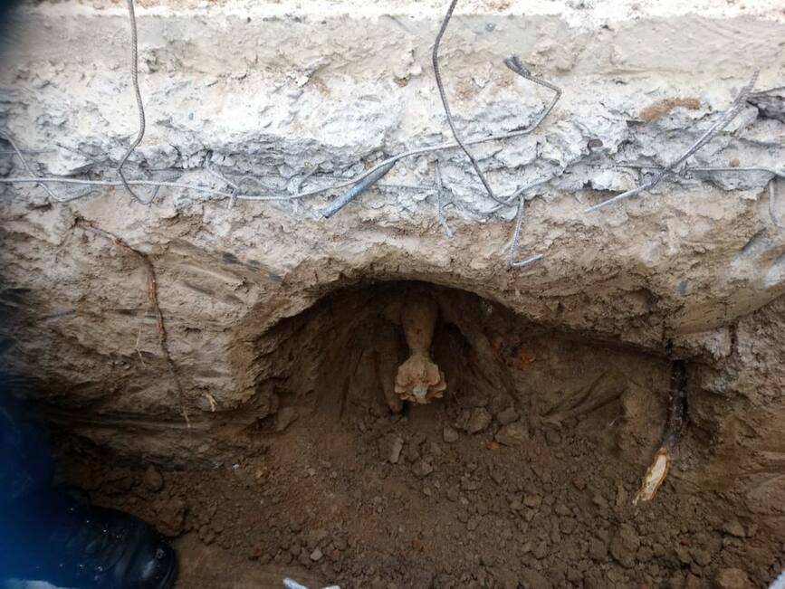 Interventiile pompierilor ieseni in ultimele 24 de ore | imaginea 2