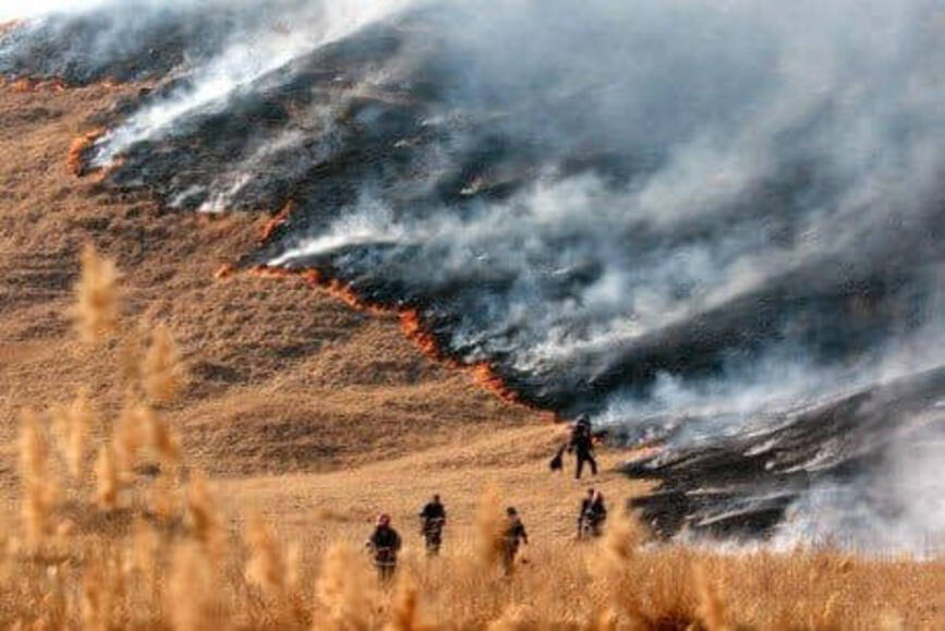 Zeci de incendii de vegetatie uscata in doar cateva zile  in judetul Hunedoara | imaginea 1