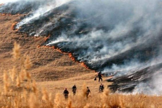 Zeci de incendii de vegetatie uscata in doar cateva zile in judetul Hunedoara | imaginea 1