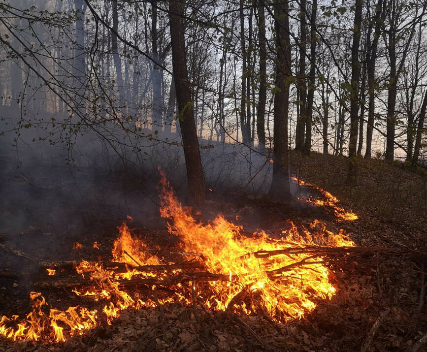 Incendiile de vegetatie continua sa provoace pagube in judetul Vrancea | imaginea 1