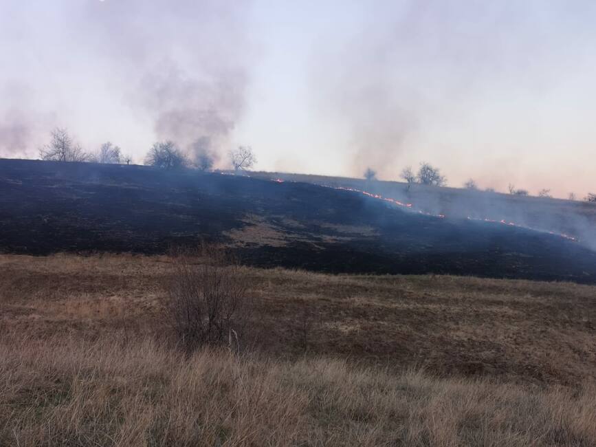 Incendiile de vegetatie continua sa provoace pagube in judetul Vrancea | imaginea 2