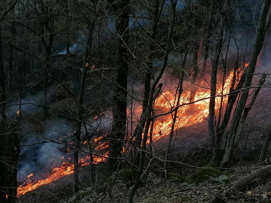 Incendiile de vegetatie uscata au facut o victima in judetul Hunedoara | imaginea 1