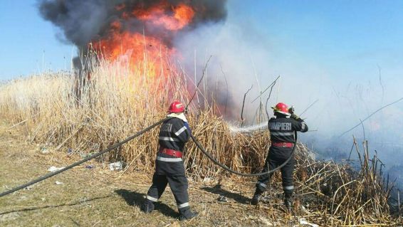 Incendiu de vegetatie uscata pe o suprafata de 3 hectare | imaginea 1