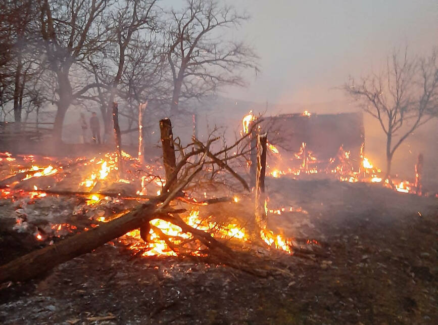 Incendiu la un adapost de animale din cauza unui cos de fum deteriorat | imaginea 1