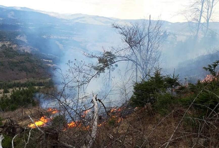 Interventie dificila pentru stingerea unui incendiu de vegetatie in apropiere de padure | imaginea 1