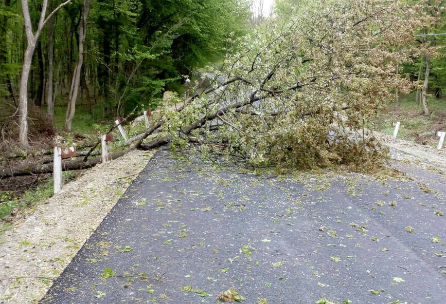 Interventii ale pompierilor salajeni in urma conditiilor meteo nefavorabile | imaginea 1