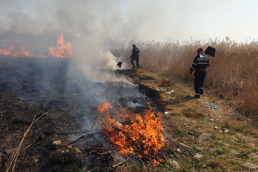 Pompieri si jandarmi  umar langa umar pentru stingerea unui incendiu de vegetatie | imaginea 1