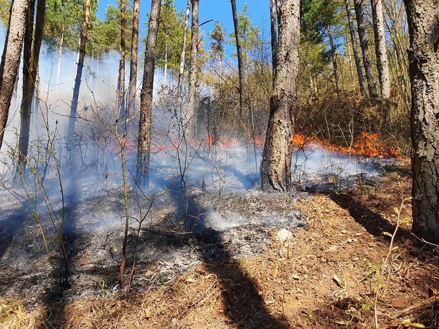 Val de incendii de vegetatie uscata in judetul Hunedoara | imaginea 1