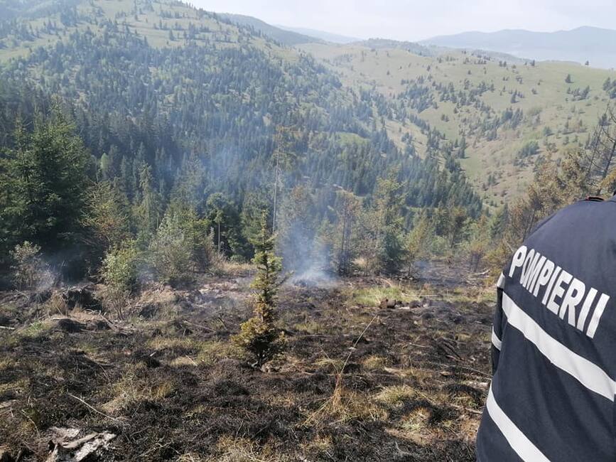 Final de interventie la incendiu de vegetatie uscata  dupa doua zile asidue | imaginea 1